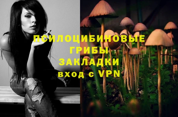 молекула духа Бугульма