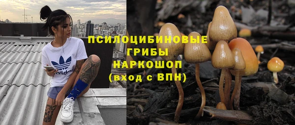 молекула духа Бугульма