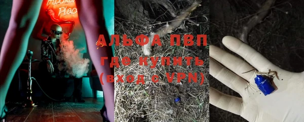 молекула духа Бугульма